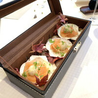 ジョンティ アッシュ - 