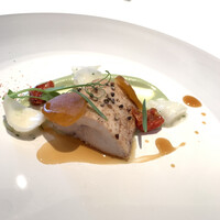 ジョンティ アッシュ - 