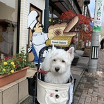 フランスベ－カリー - 