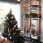 シナモンアンドモア - 