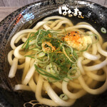 はなまるうどん - 