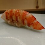 鮨 なんば - 車海老