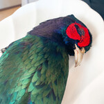 プレゼンテ スギ - 雉様に感謝しながら頂きます。