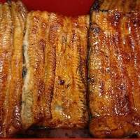 割烹 蒲焼 大沼 - 