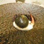 COOK JAPAN PROJECT - 