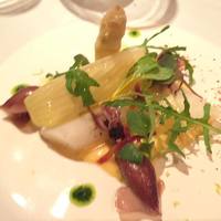 ジョンティ アッシュ - 