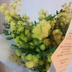 老香港酒家京都 - いただいたミモザの花束