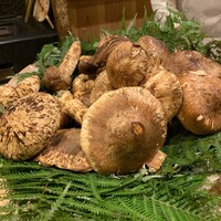 富小路 やま岸 - 