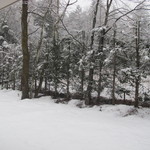 Fogliolina della Porta Fortuna - ３月でも雪が降ってました・・・