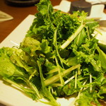 North Continent - 付け合わせの野菜サラダ