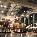 Nicolai Bergmann NOMU - 