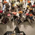 Nicolai Bergmann NOMU - 