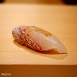 鮨 はしもと - 真鯛