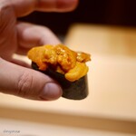 鮨 はしもと - うに