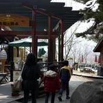 八ヶ岳ラーメン 麺八 - 八ヶ岳リゾートアウトレットの食堂街