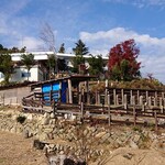 カフェー清涯荘 - 