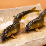 柚木元 - 2019.10 子持ち天竜鮎タレ焼き