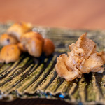 柚木元 - 2019.10 天然なめこ、ブナハリタケ