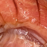 寿し おおはた - 