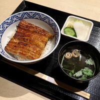 うなぎ 目白ぞろ芽 - 