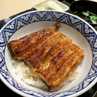 うなぎ 目白ぞろ芽 - 