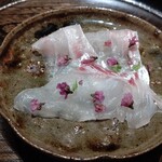 寿し おおはた - 明石の紅葉鯛のお刺身