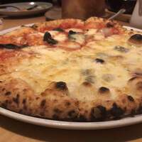 THE RIGOLETTO - 