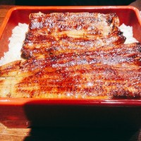 新宿 うなぎ菊川 - 
