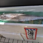 廻鮮寿司 塩釜港 - 近海サワラ