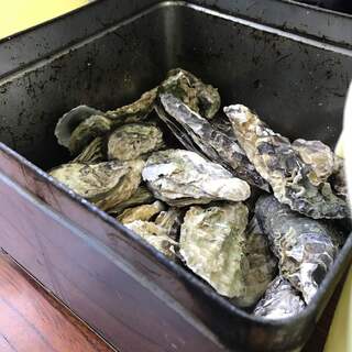 オイスターファーム 山善水産_1