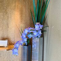 北新地 肉料理 名門 - 内観1