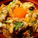 乃木坂 鳥幸 - 甲州地鶏の親子丼（並）