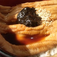 ワノフ - 穴子丼