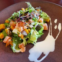 Remede nikaho - サラダは鮭が飛ぶ程にマスカットが旨くて強くて美味しかったのですが、量が多過ぎでした、味付けは穏やかでアミューズで感じた心配は杞憂でした