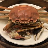 中国料理 麗花 - 