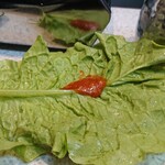 生ホルモン処 おさむちゃん。 - 