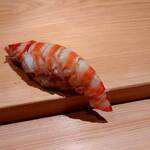 鮨 さかい - 車海老