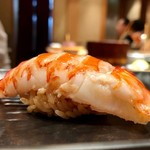 鮨 とかみ - 2019.11.  車海老