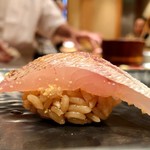 鮨 とかみ - 2019.11.  春子鯛