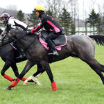おおにし - おまけ　愛馬調教写真　もうすぐ入厩♪　2歳牡馬