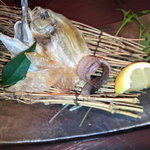 人有喜 蔵 - 干物