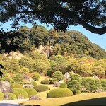 Midori - 滝