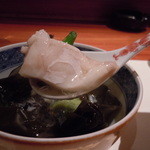 島之内 一陽 - コチどうぞ～