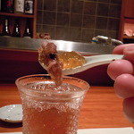 島之内 一陽 - ホタルイカどうぞ～