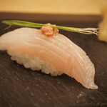 Sushi Senki - ハタ （福岡）