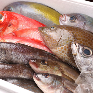 ＼豊洲市場直送／旬を追う新鮮魚介や豪勢な海の幸に囲まれて…！