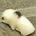 鮨 青海 - スミイカ