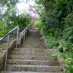 山の茶屋 楽水 - 店舗に行くまでの急な階段。