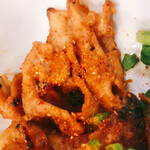 座らず屋　おや！福幸 - ホルモンに一味をたっぷり