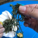 備瀬崎養殖所 - 